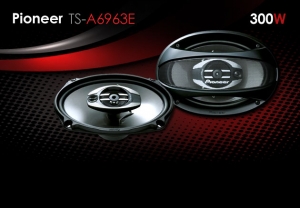 Pioneer TS AE693E speakers